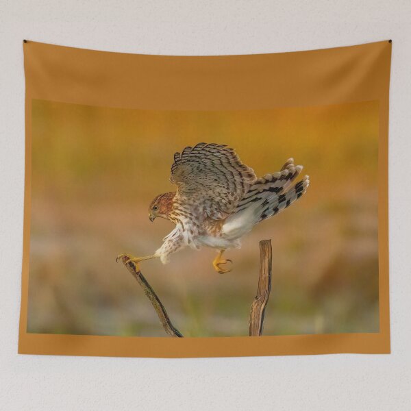 Item preview, Coopers Hawk Landing designed and sold by LindaCPhoto.