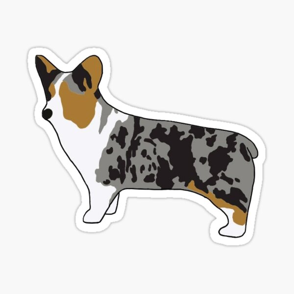 Item preview, Merle Corgi  designed and sold by thepigshowmen.