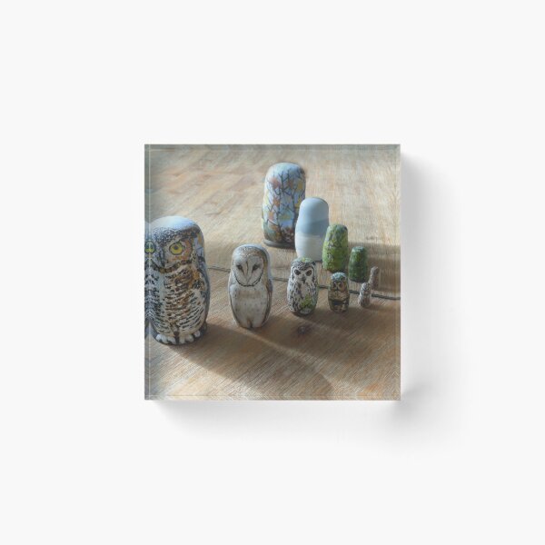 Item preview, 4 Seizoenen en een uil designed and sold by CamphuijsenArt.