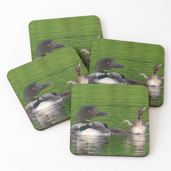 Item preview, Common Loon with Baby doing a wing flap designed and sold by LindaCPhoto.