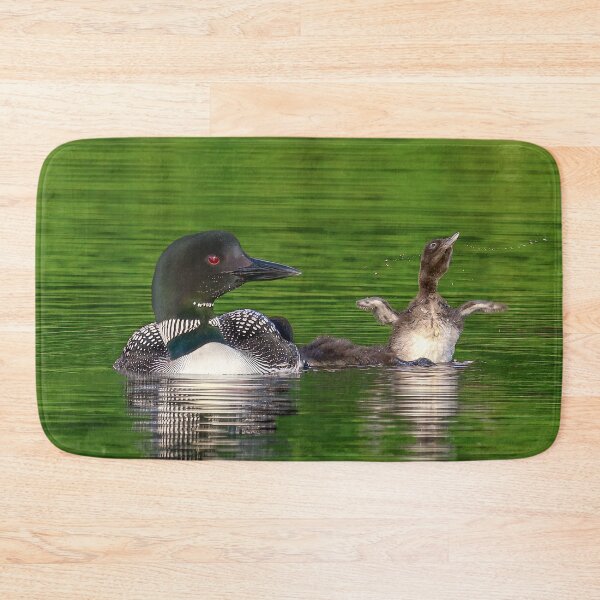 Item preview, Common Loon with Baby doing a wing flap designed and sold by LindaCPhoto.