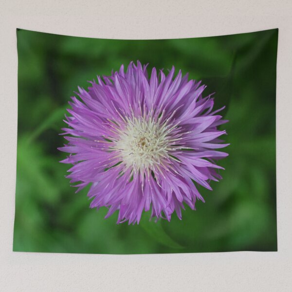 Item preview, Violet and Fluffy Centaurea designed and sold by Asaha17.