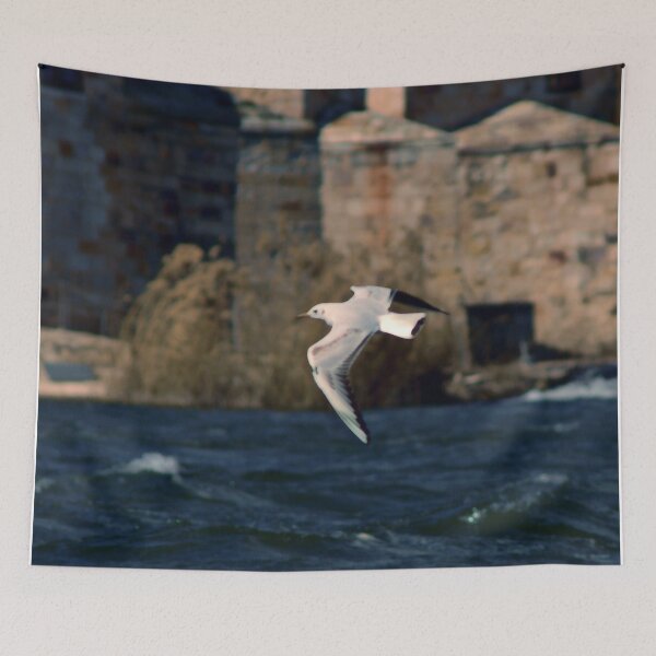 Item preview, Seagull in front of the olive groves designed and sold by Jonatan Pablos.