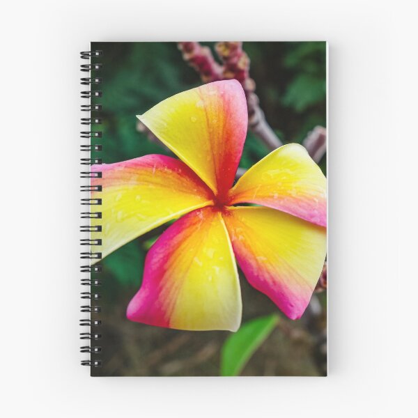 Item preview, Plumeria rubra designed and sold by Lyl Dil Creations.