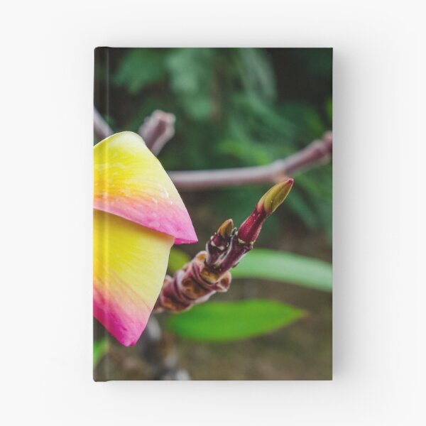 Item preview, Plumeria rubra designed and sold by Lyl Dil Creations.