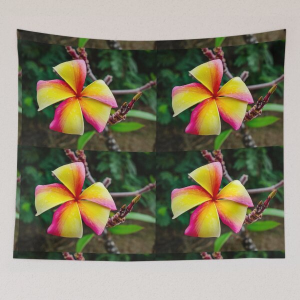 Item preview, Plumeria rubra designed and sold by Lyl Dil Creations.