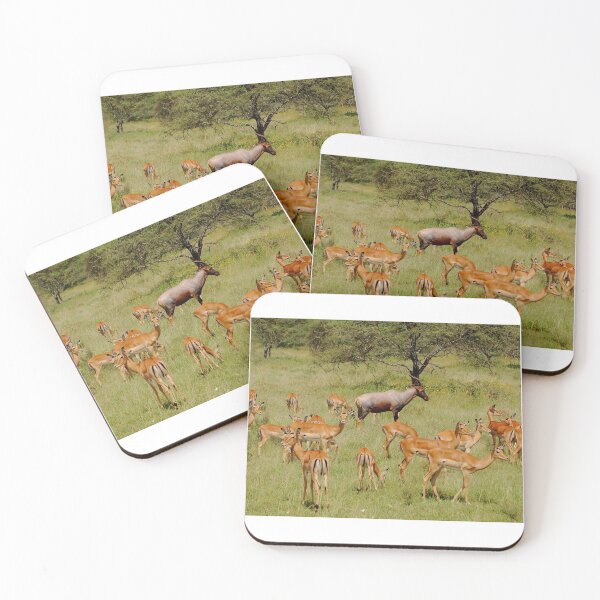 Item preview, Topi among the Impala designed and sold by David JC.