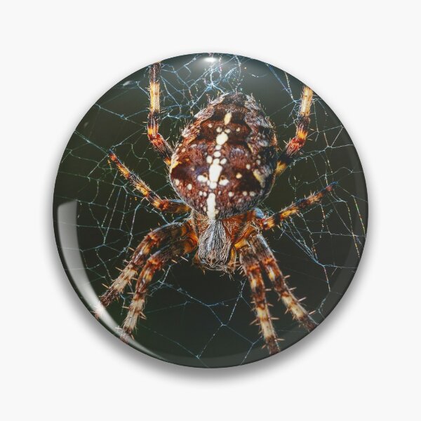 Item preview, Spider on Web designed and sold by MorningFive.