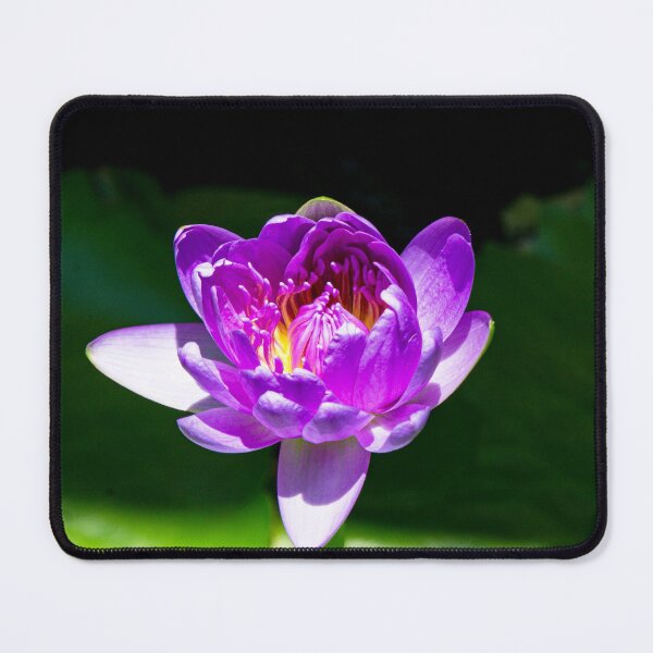Item preview, Purple Water Lily designed and sold by Keola Makaiau.