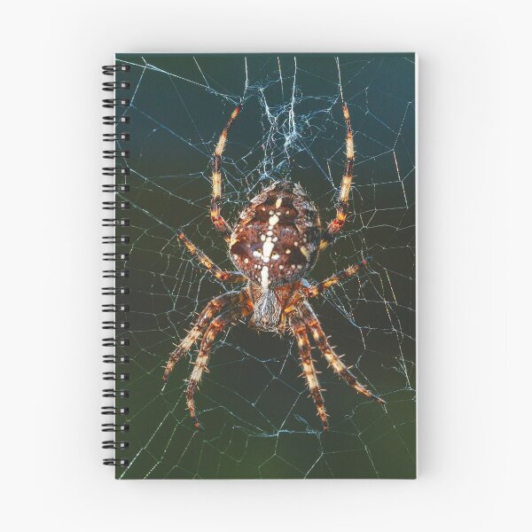 Item preview, Spider on Web designed and sold by MorningFive.