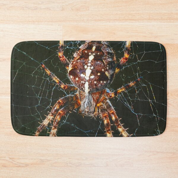 Item preview, Spider on Web designed and sold by MorningFive.