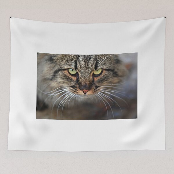Item preview, Portrait of wild grey cat designed and sold by olena2552.