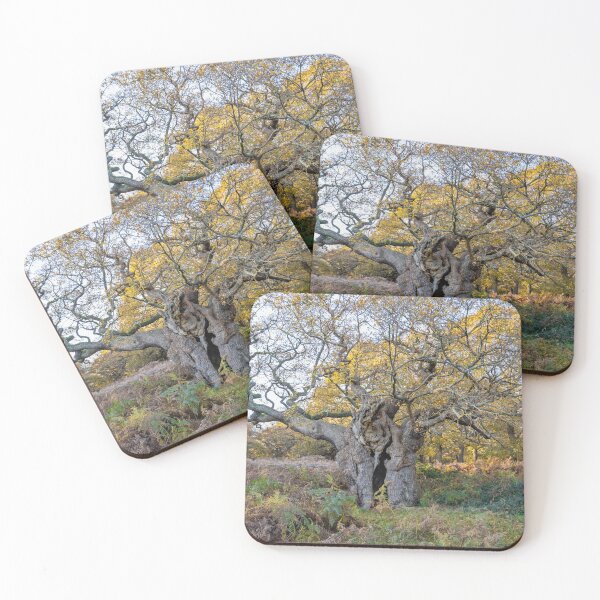 Item preview, Royal Oak, Richmond Park designed and sold by Graham Prentice.
