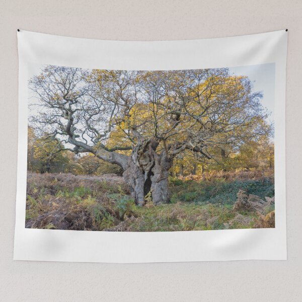 Item preview, Royal Oak, Richmond Park designed and sold by Graham Prentice.