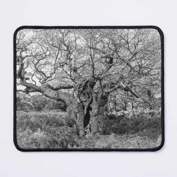 Item preview, Royal Oak, Richmond Park designed and sold by Graham Prentice.