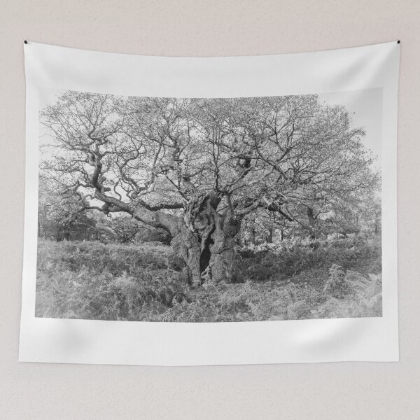 Item preview, Royal Oak, Richmond Park designed and sold by Graham Prentice.