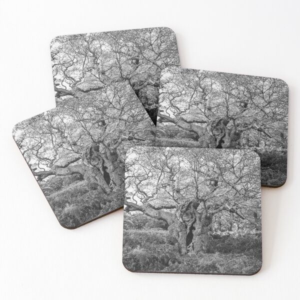 Item preview, Royal Oak, Richmond Park designed and sold by Graham Prentice.
