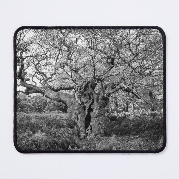 Item preview, Royal Oak, Richmond Park designed and sold by Graham Prentice.