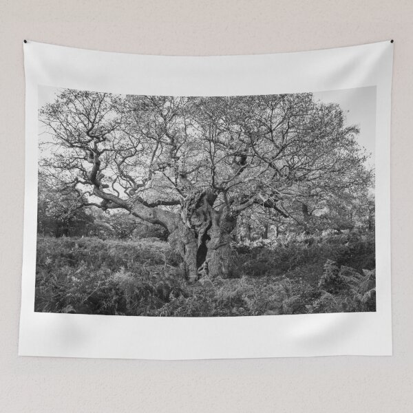 Item preview, Royal Oak, Richmond Park designed and sold by Graham Prentice.