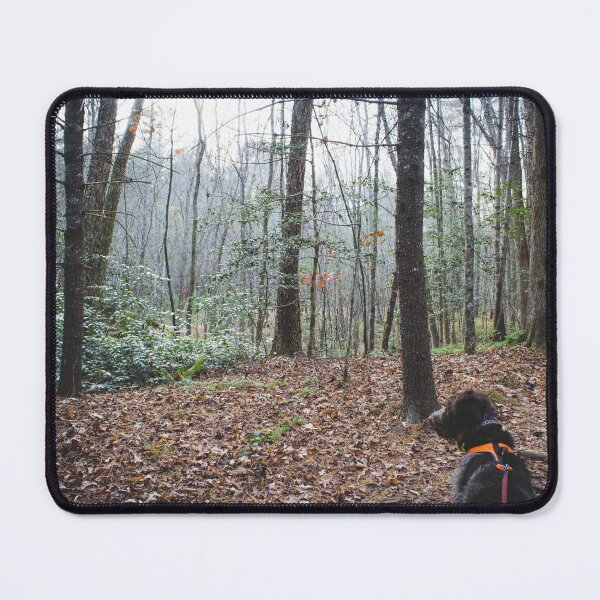 Item preview, Monty on the Overmountain Victory Trail designed and sold by Isla Creek Casuals.