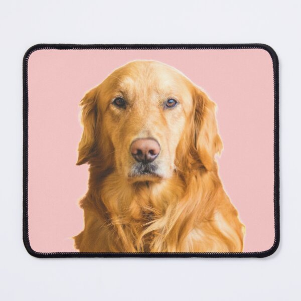 golden retriever mouse pads