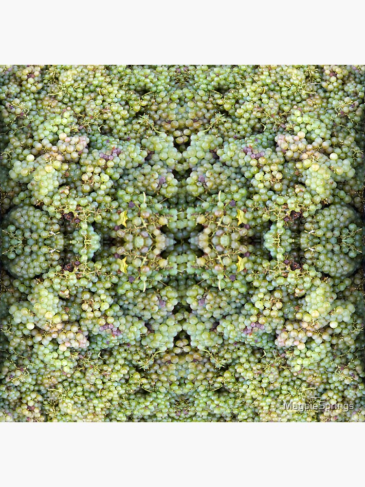 Thumbnail 3 of 3, Sticker, Semillon Grapes by Adelaide artist Avril Thomas at Magpie Springs designed and sold by MagpieSprings.
