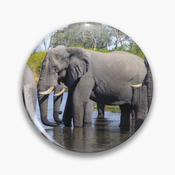 Item preview, Three Elephants Wading in Botswana designed and sold by SafariByMarisa.