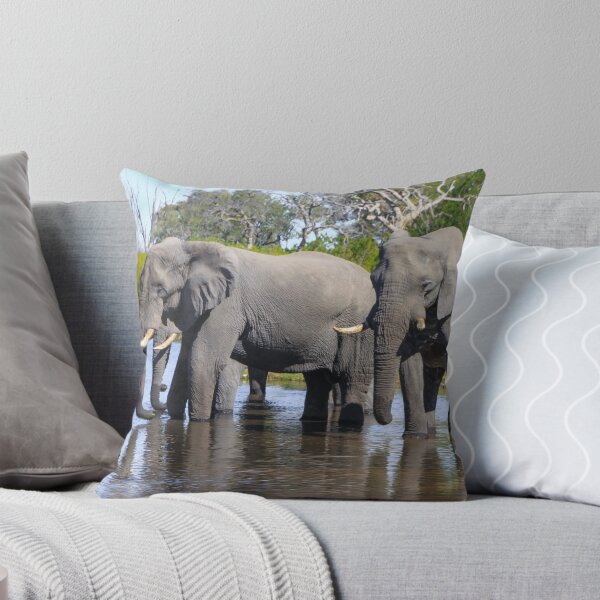 Item preview, Three Elephants Wading in Botswana designed and sold by SafariByMarisa.
