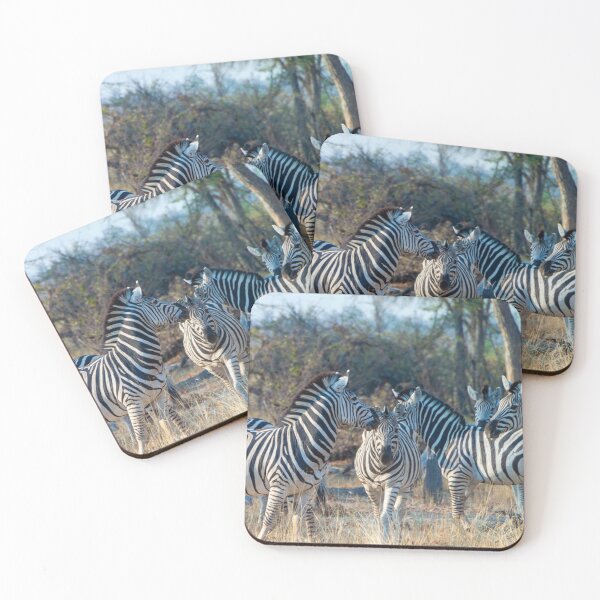 Item preview, Zebra Herd in Moremi Game Reserve, Botswana designed and sold by SafariByMarisa.
