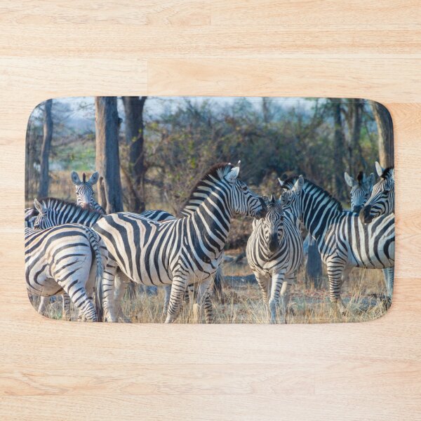 Item preview, Zebra Herd in Moremi Game Reserve, Botswana designed and sold by SafariByMarisa.