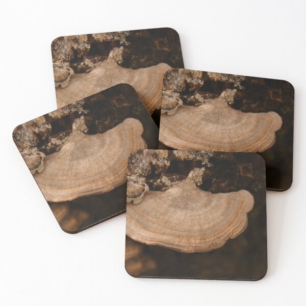 Item preview, Fungi designed and sold by Poete100.