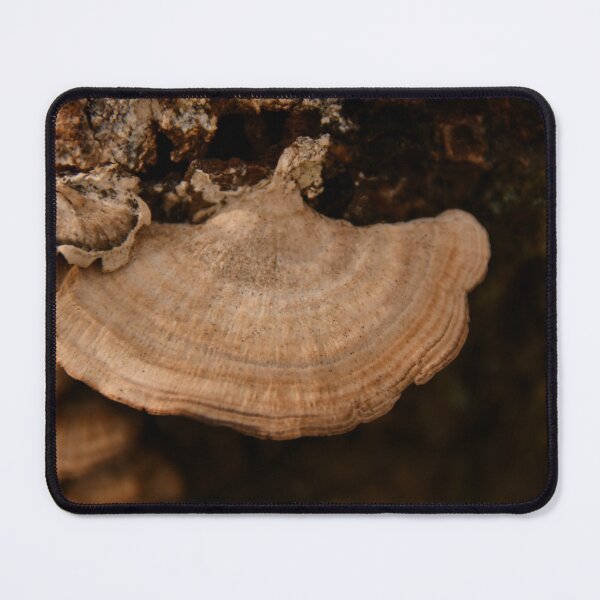 Item preview, Fungi designed and sold by Poete100.