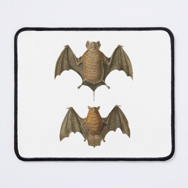 Item preview, Bat designed and sold by fossikelley.