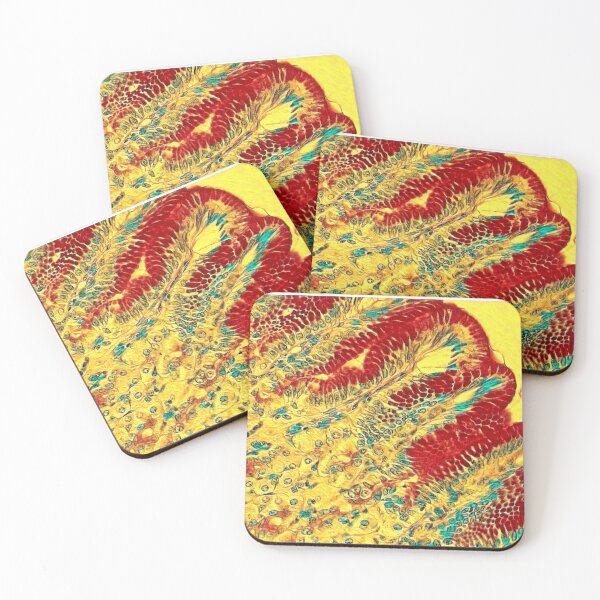 Aperçu de l'œuvre L'estomac de Van Gogh créée et vendue par Love Histology.
