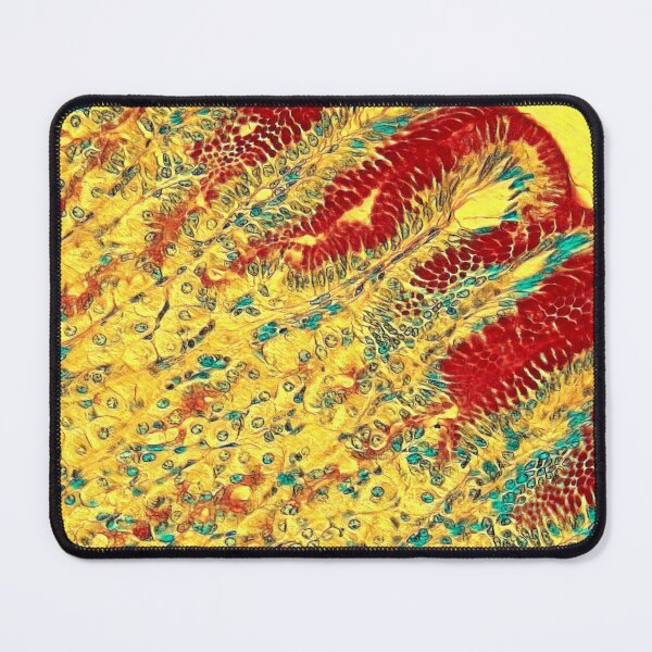 Item preview, The Stomach by Van Gogh designed and sold by Love Histology.