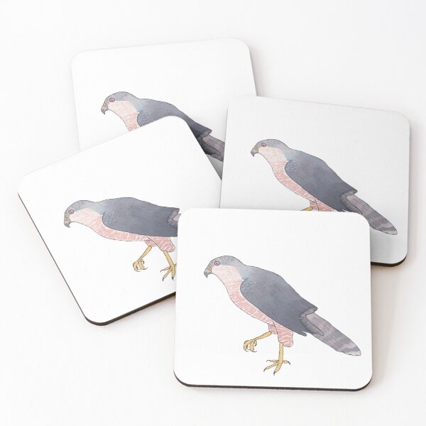 Item preview, Cooper's hawk bird species watercolor animal art designed and sold by TheWaterBirds.