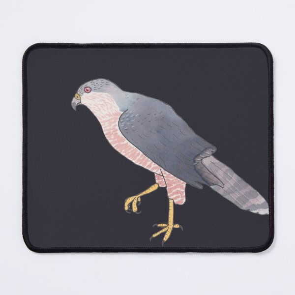 Item preview, Cooper's hawk bird species watercolor animal art designed and sold by TheWaterBirds.