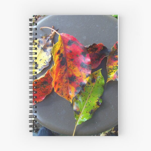Item preview, A Leaf Arrangement designed and sold by PockySamurai.
