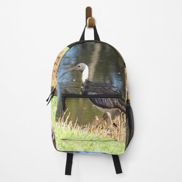 Item preview, Straw-necked ibis designed and sold by greentiger1.
