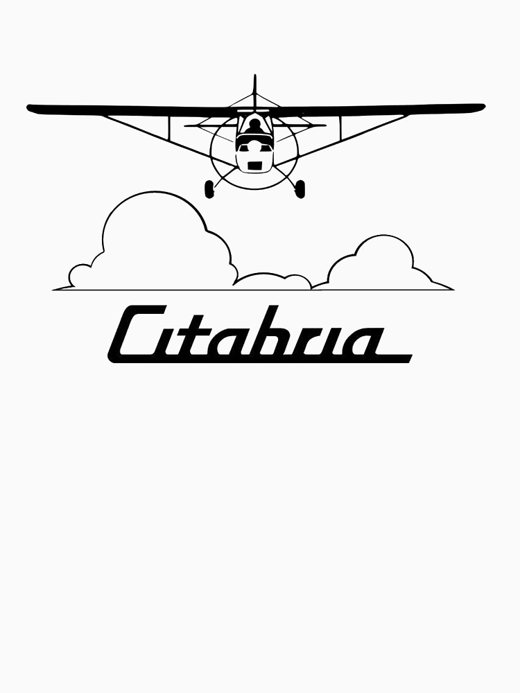 Citabria Clouds Head-On by cranha