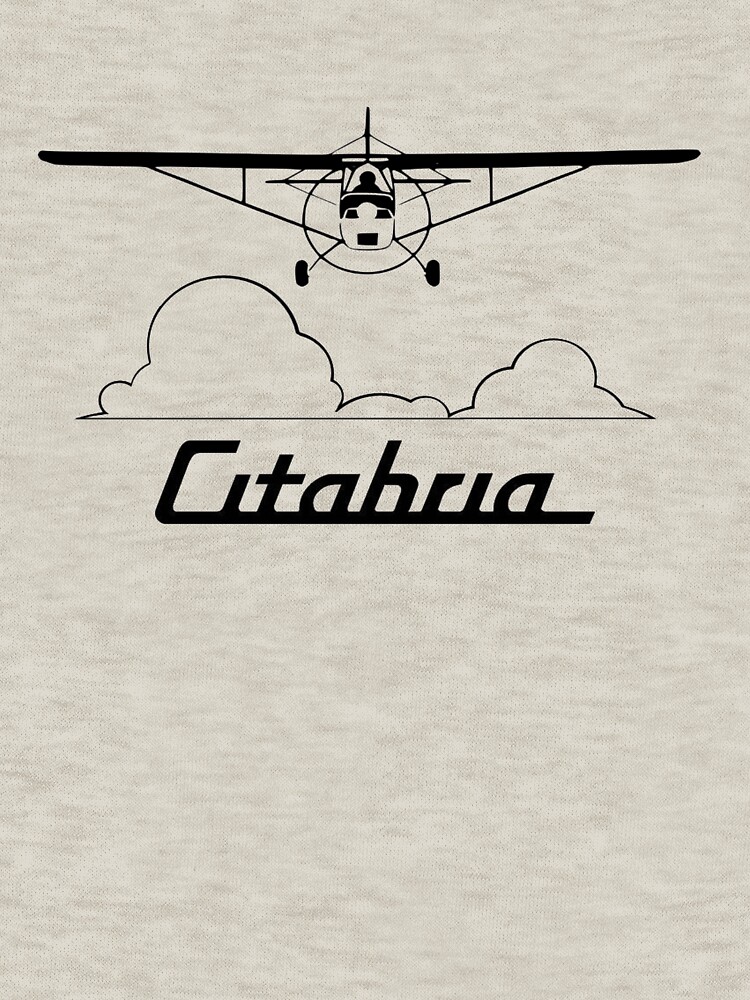 Citabria Clouds Head-On by cranha