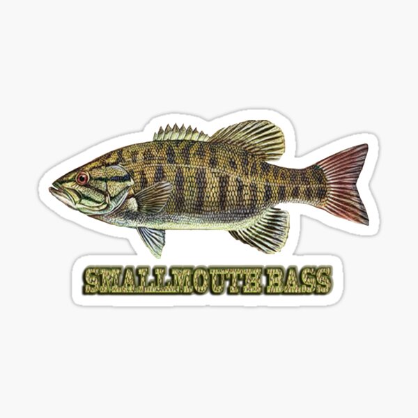 Smallmouth Stickers for Sale