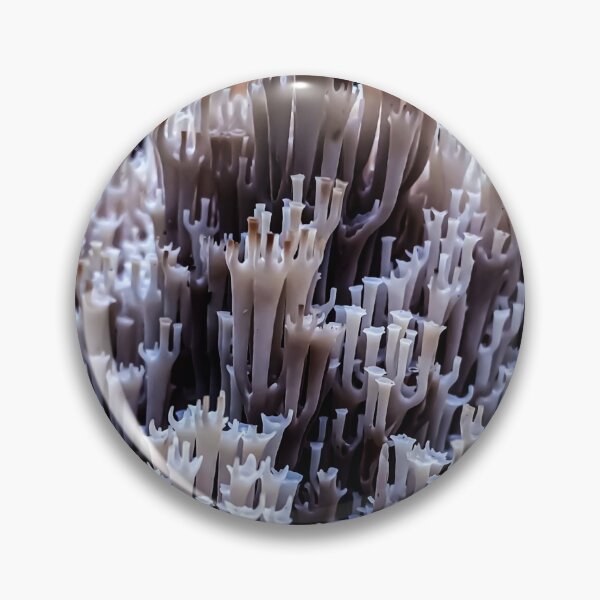 Item preview, mushroom kingdome designed and sold by Julia  Kovtunyak.