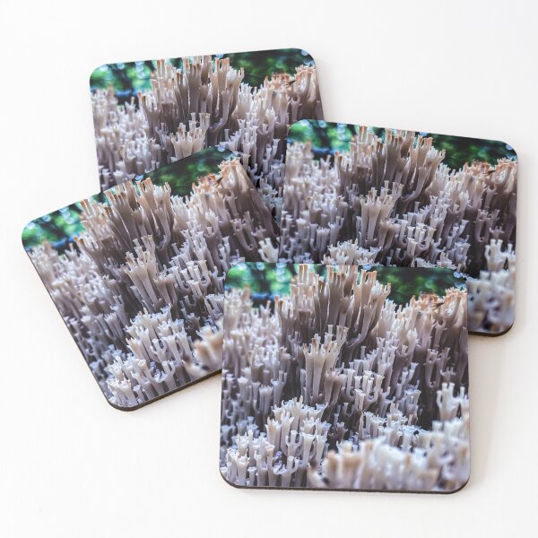 Item preview, mushroom kingdome designed and sold by Julia  Kovtunyak.