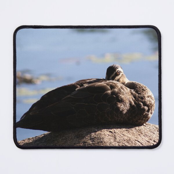Item preview, Incognito Duck designed and sold by Dragonsfield.