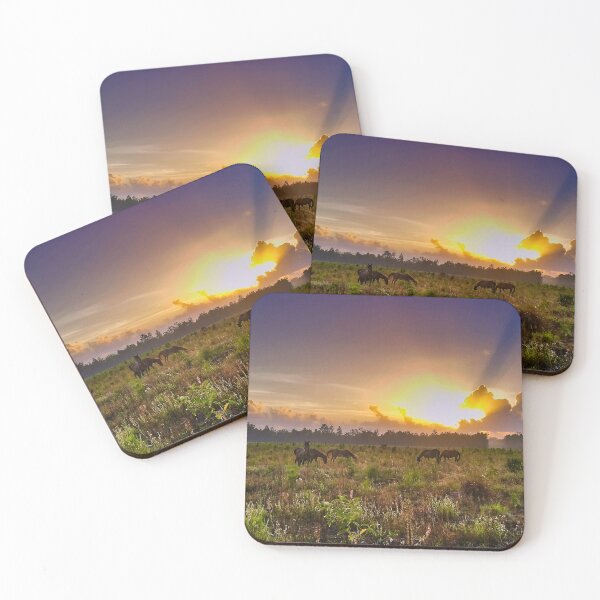 Item preview, Brumbies at Sunrise designed and sold by CaptureTheDog.