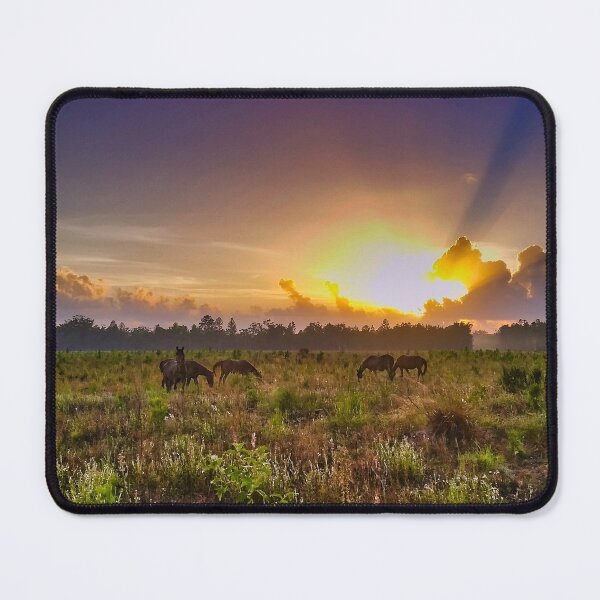 Item preview, Brumbies at Sunrise designed and sold by CaptureTheDog.
