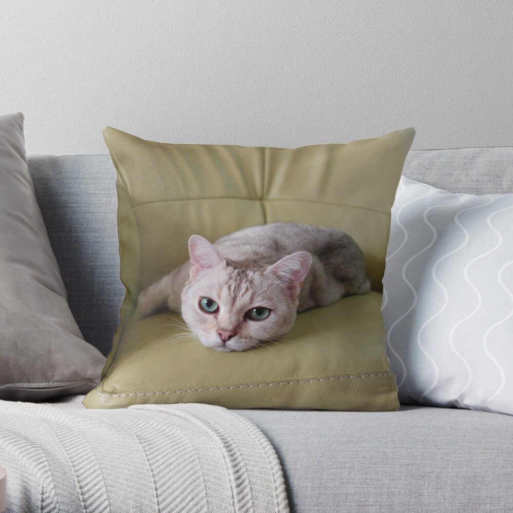 cat pillow Throw Pillow
