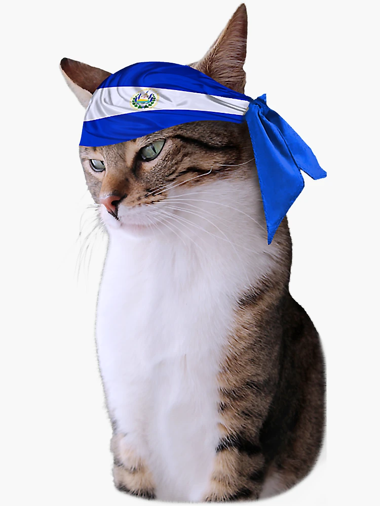 ROPA – CAT El Salvador