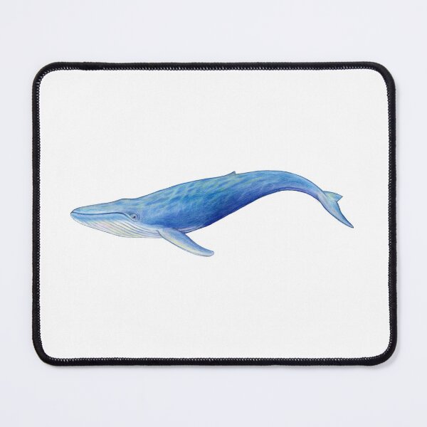 Item preview, Blue Whale designed and sold by Tamara Clark.